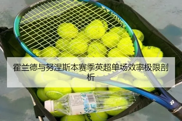 霍兰德与努涅斯本赛季英超单场效率极限剖析